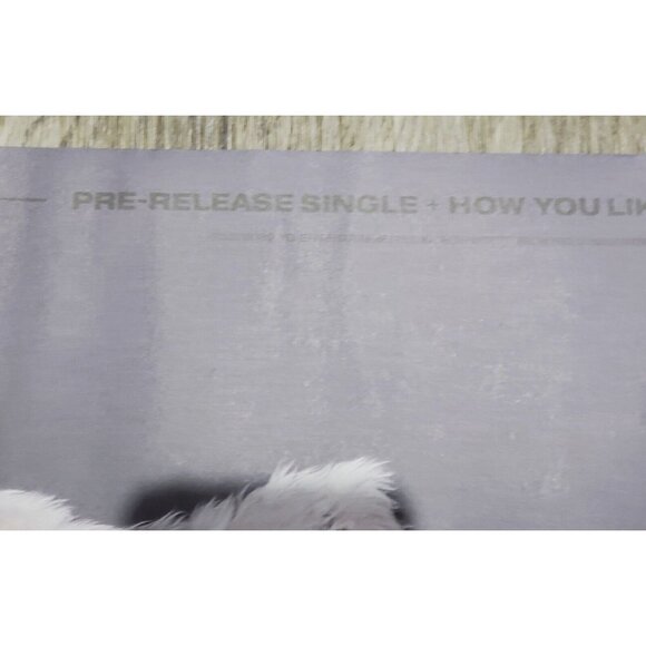 Blackpink KPop How You Like That Official 2 Sided Poster 21"x29" - Picture 4 of 5